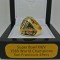 nfl 1989 super bowl xxivsan francisco 49ers championship ring 11